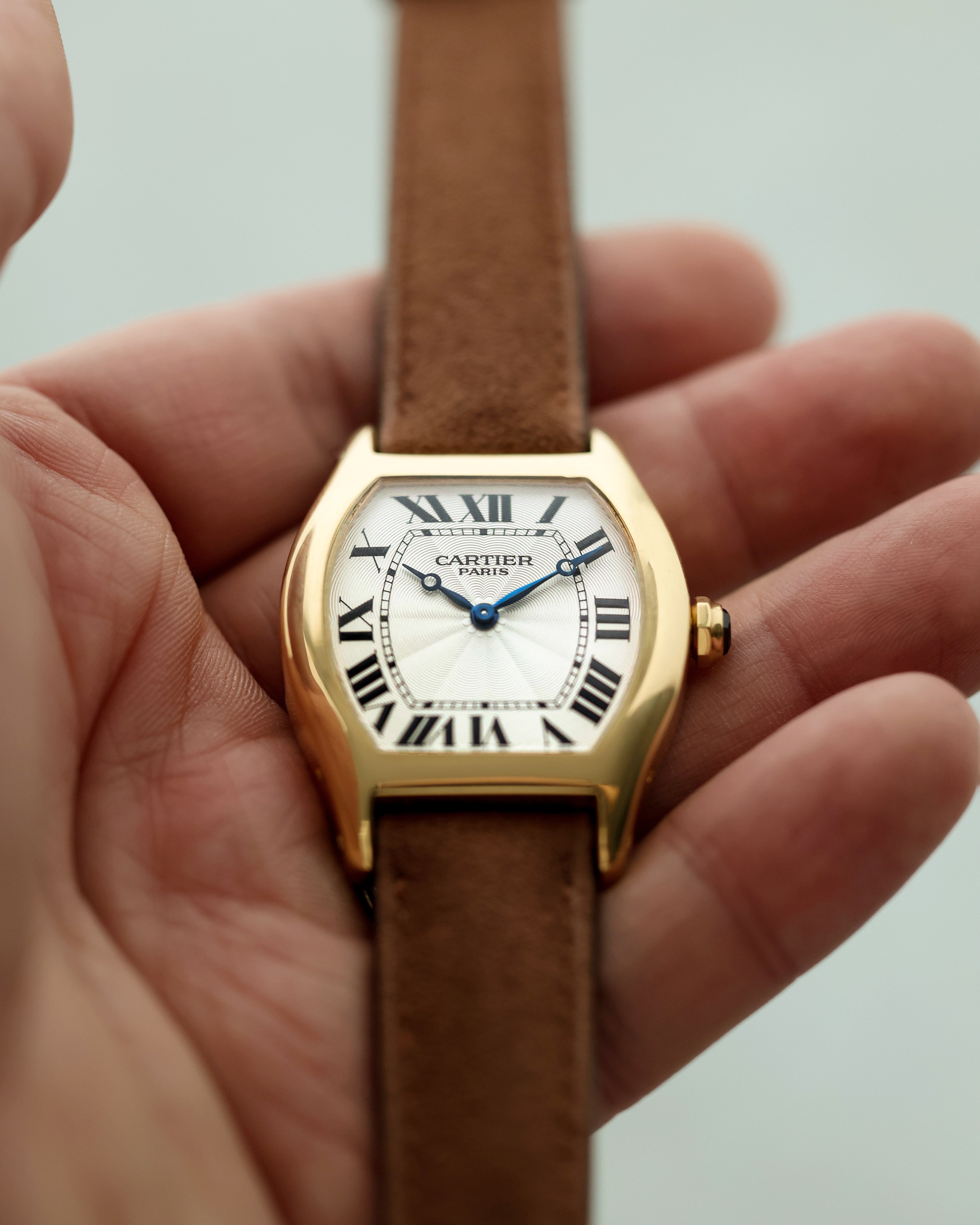 Strap Guide: Cartier Tortue CPCP 'Collection Prive' – Delugs