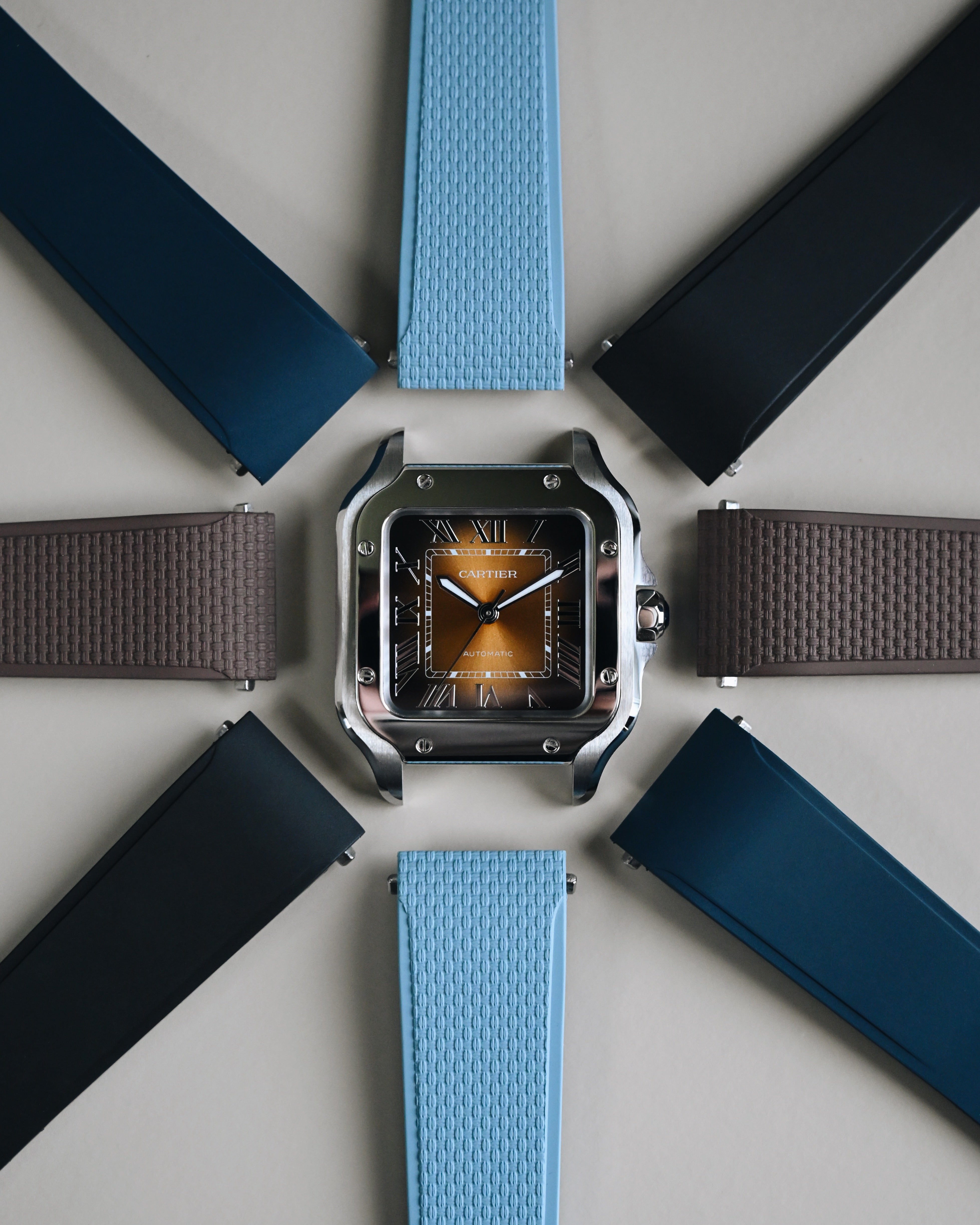 Strap Guide: Cartier Santos de Cartier WSSA0065 – Delugs
