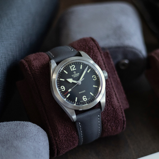 Strap Guide: Tudor Ranger M79950
