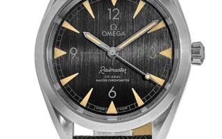 Omega Seamaster Railmaster watch