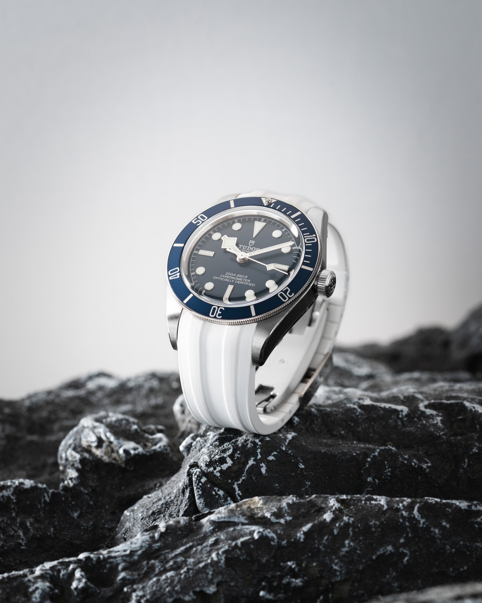 Monochrome Lug To Lug Tudor Black Bay 58 Tudor Black Bay Bronze