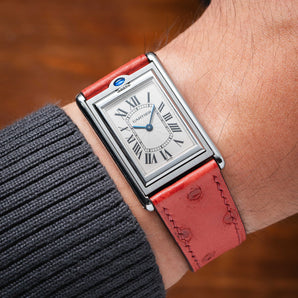 Matte Gerbera Ostrich Body Strap
