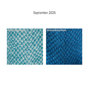 Custom Monthly New Leather