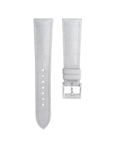 Alligator — White