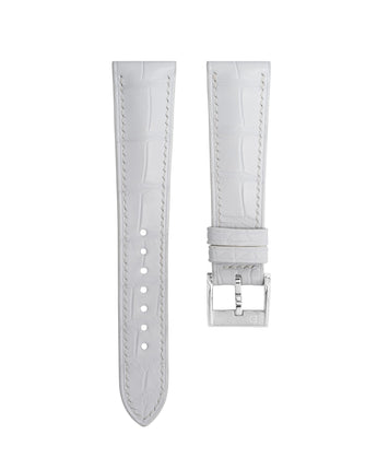 Alligator — White