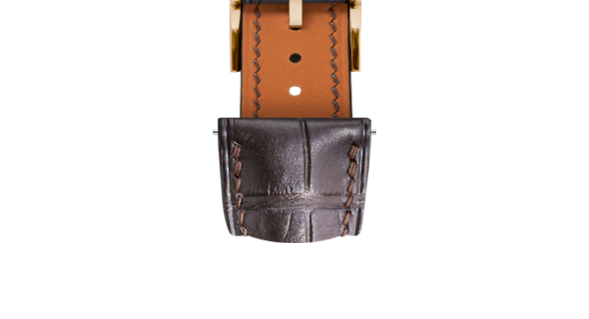 Alligator_MatteDarkBrown_Yello