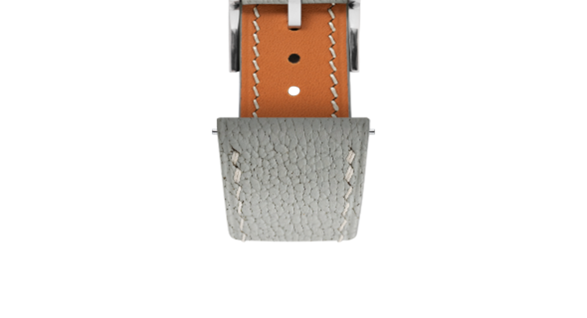 Best Straps for Citizen Citizen Silver (NB1060-12L) | Delugs