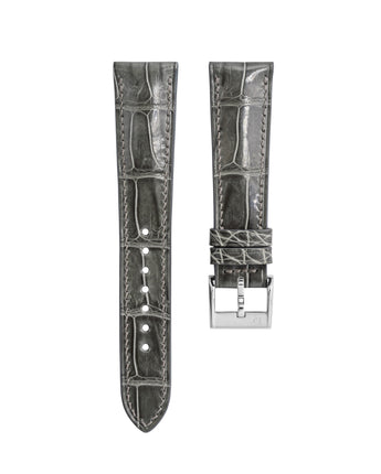 Crocodile — Grey