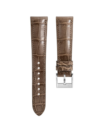 Crocodile — Brown