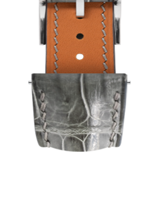 Best Straps for Citizen Citizen Silver (NB1060-12L) | Delugs Best Straps for Citizen Citizen Silver (NB1060-12L) | Delugs