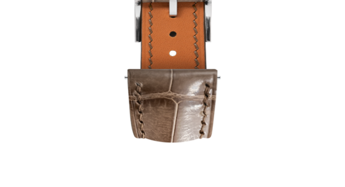 Best Straps for Grand Seiko SBGM221G Taupe Dial | Delugs